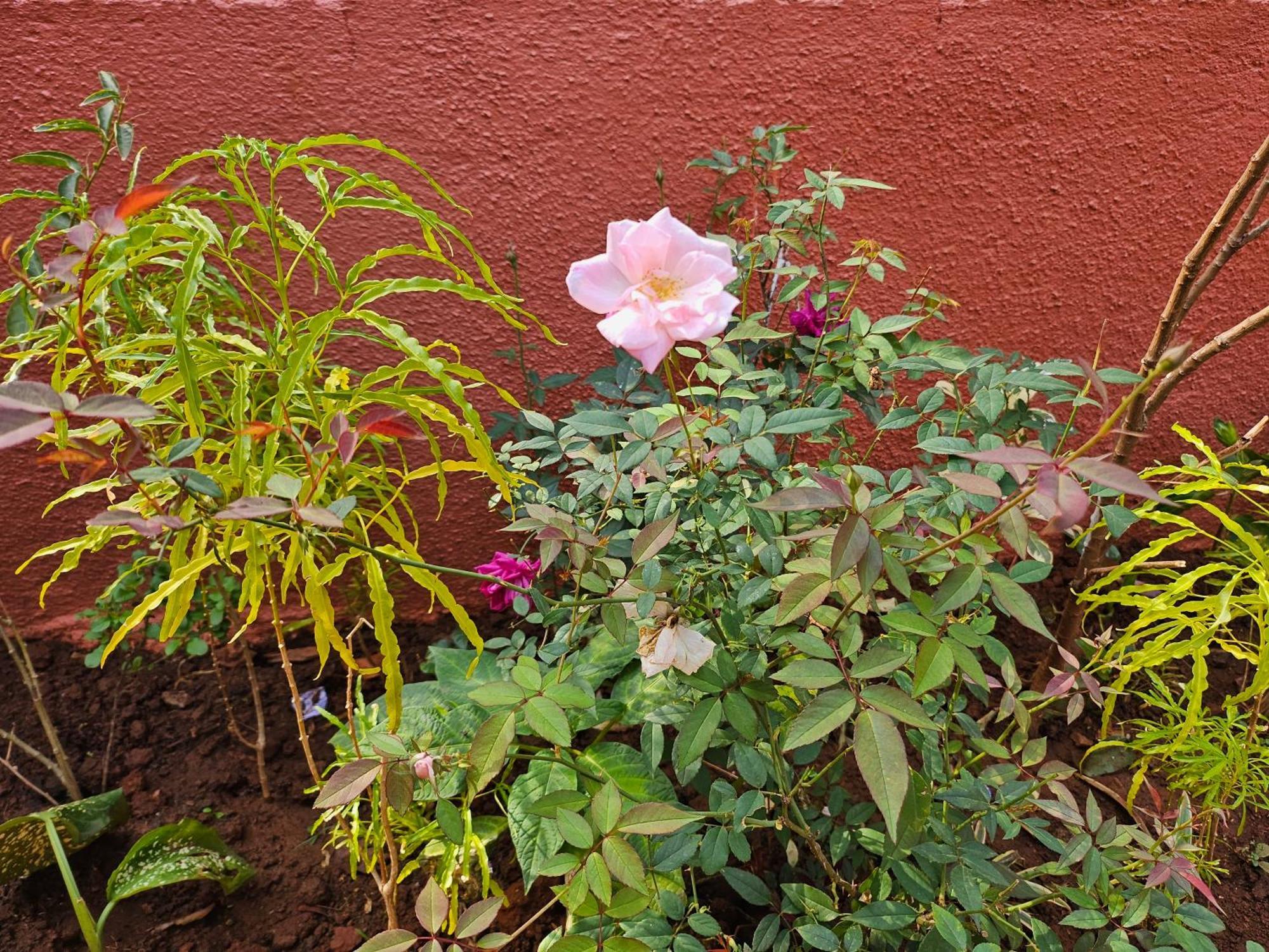 Nivritti Villa Matheran Ngoại thất bức ảnh