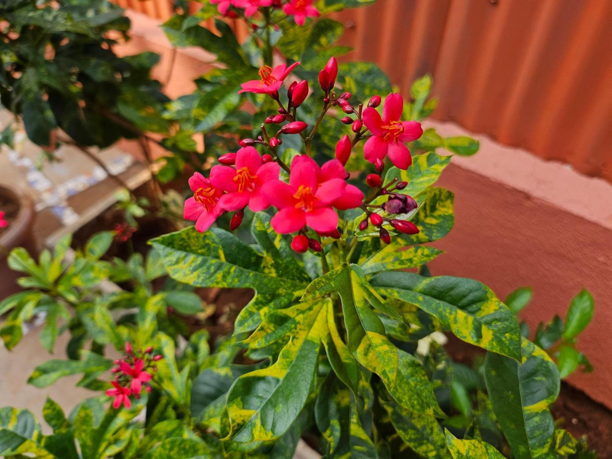 Nivritti Villa Matheran Ngoại thất bức ảnh